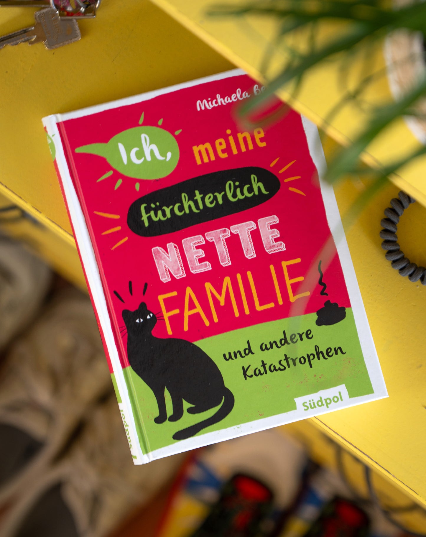 Ich, meine fürchterlich nette Familie und andere Katastrophen