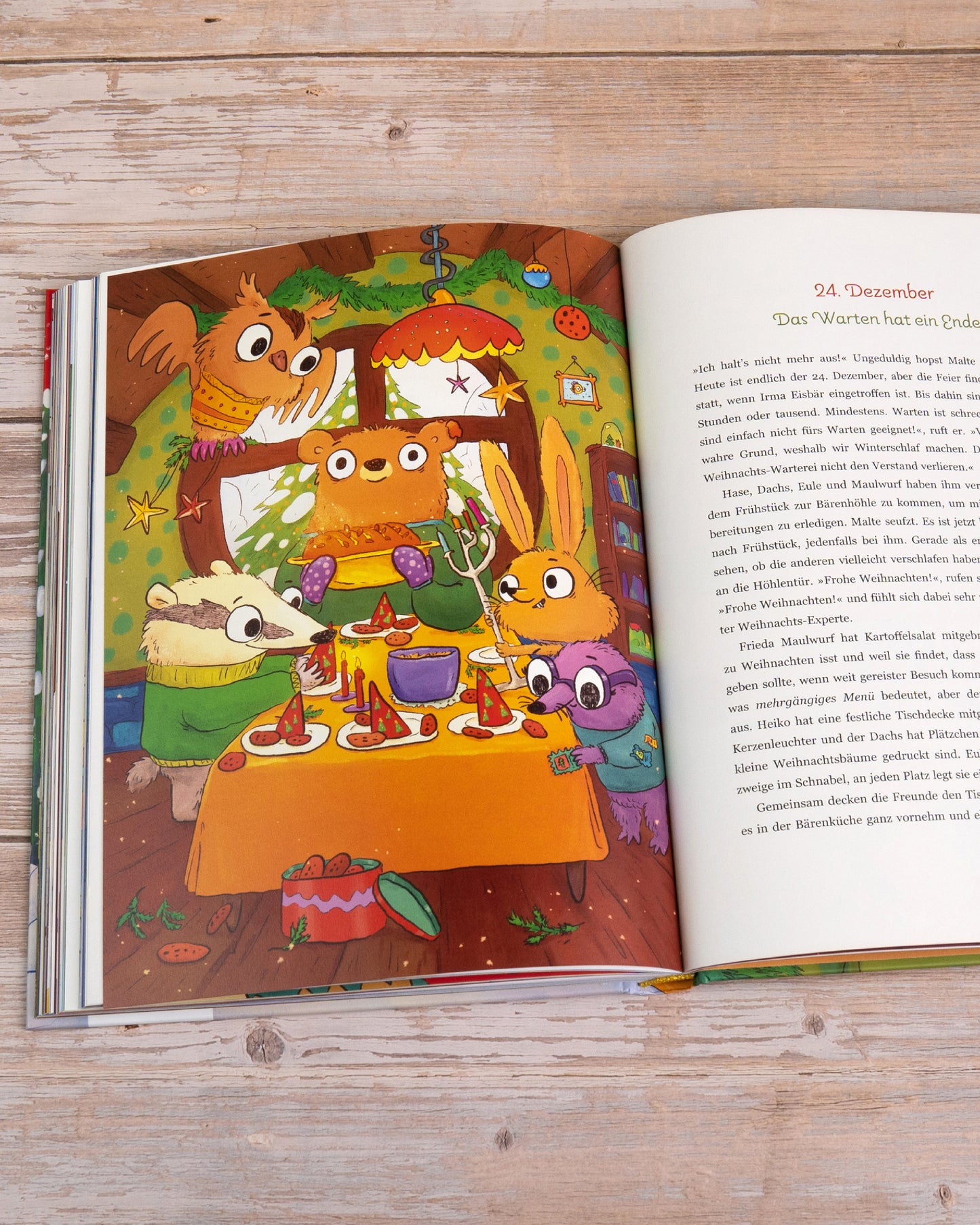 Huch, wer kommt da zu Besuch? – Eine bärige Adventsgeschichte in 24 Kapiteln