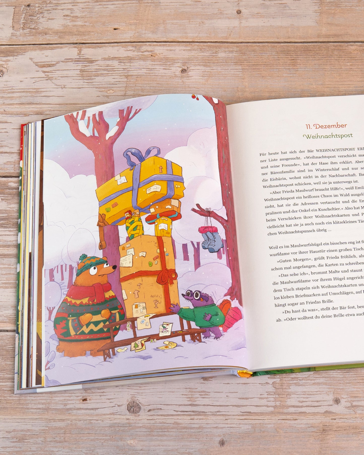 Huch, wer kommt da zu Besuch? – Eine bärige Adventsgeschichte in 24 Kapiteln