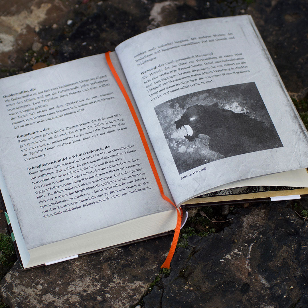 Das hungrige Glas (Glas-Trilogie Band 1)