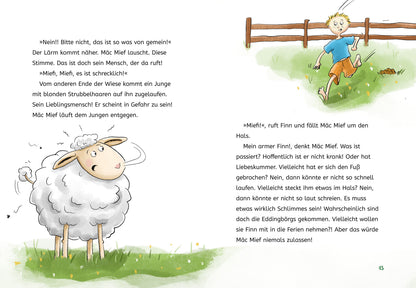 Mäc Mief und die stinkbesonderen Unterhosen