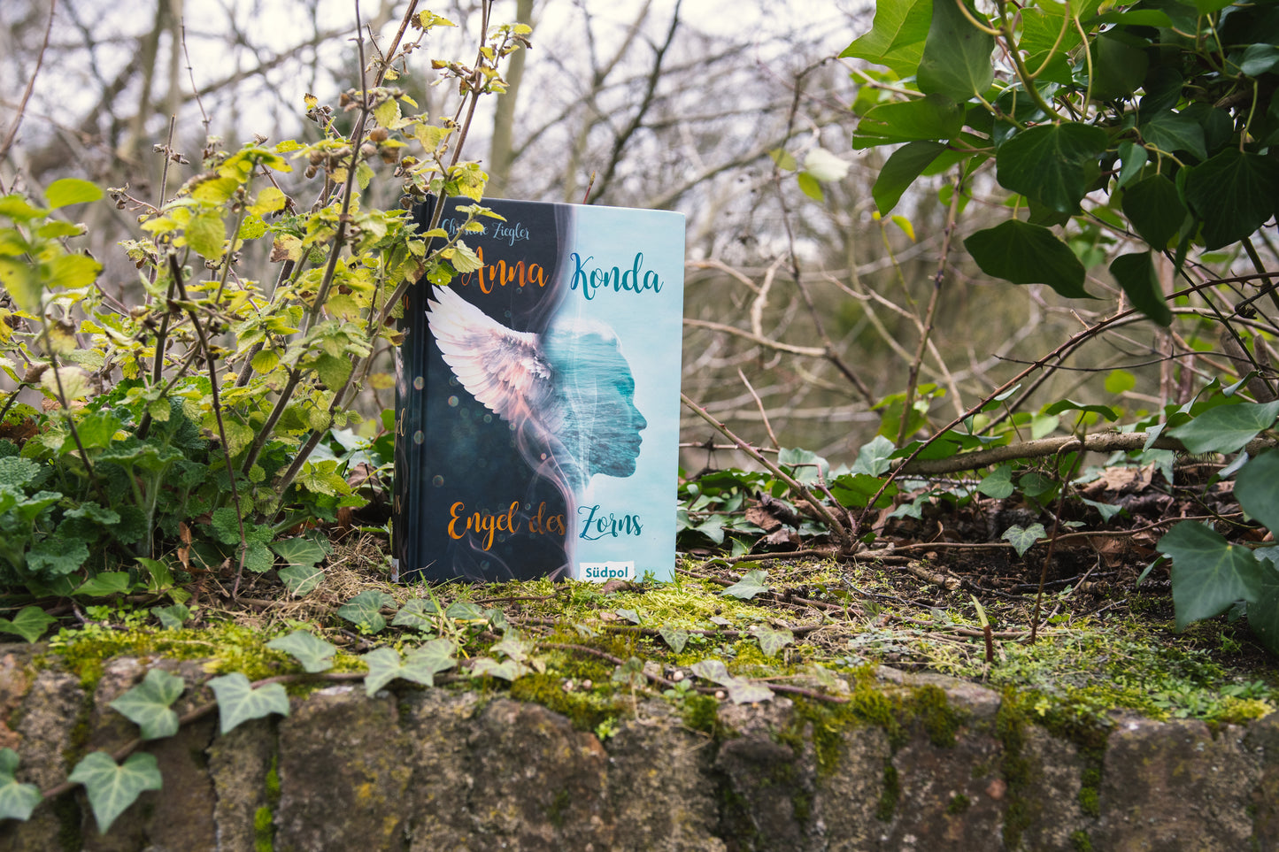 Anna Konda – Engel des Zorns