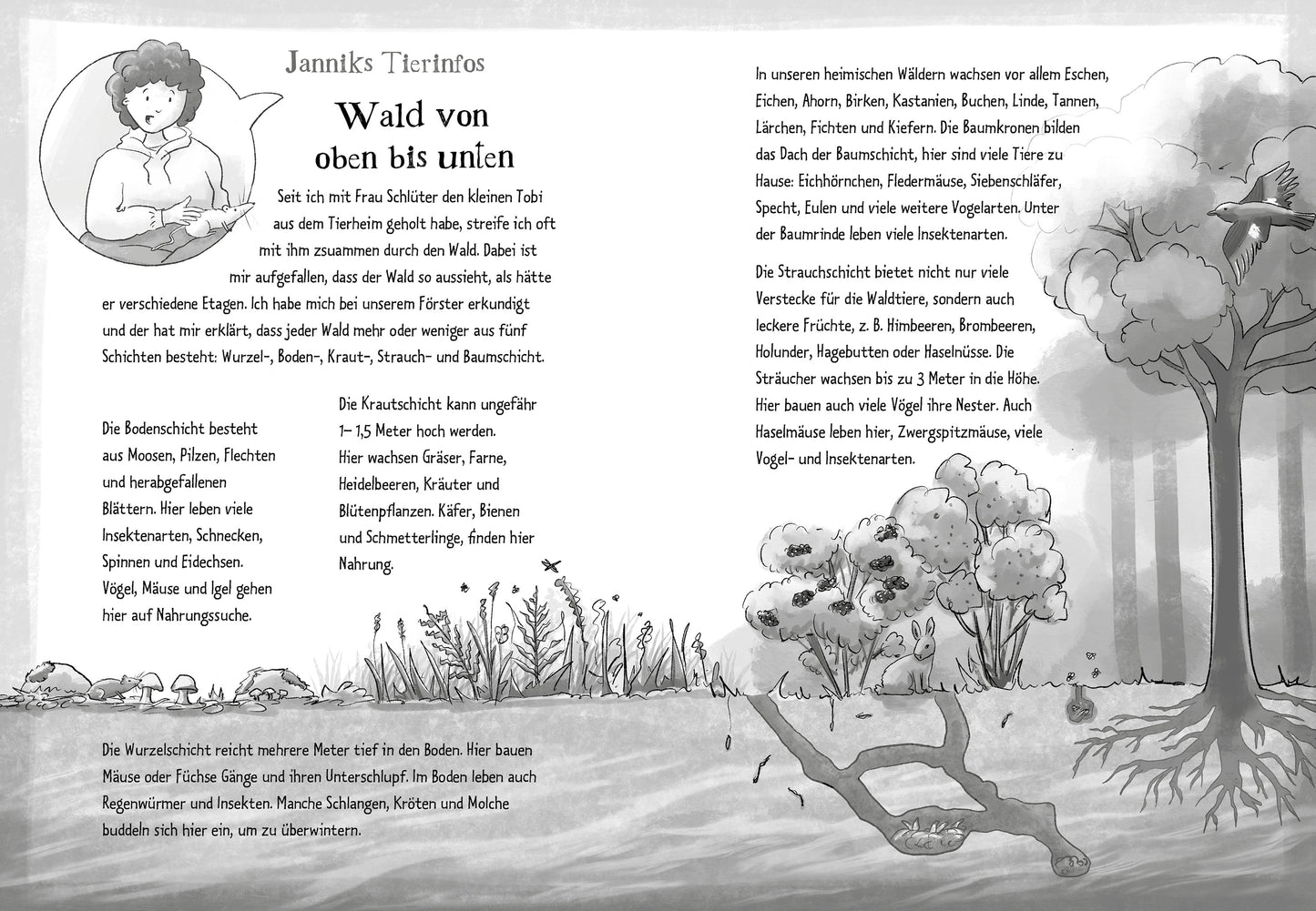 Die Grünen Piraten – Anschlag auf die Baumriesen