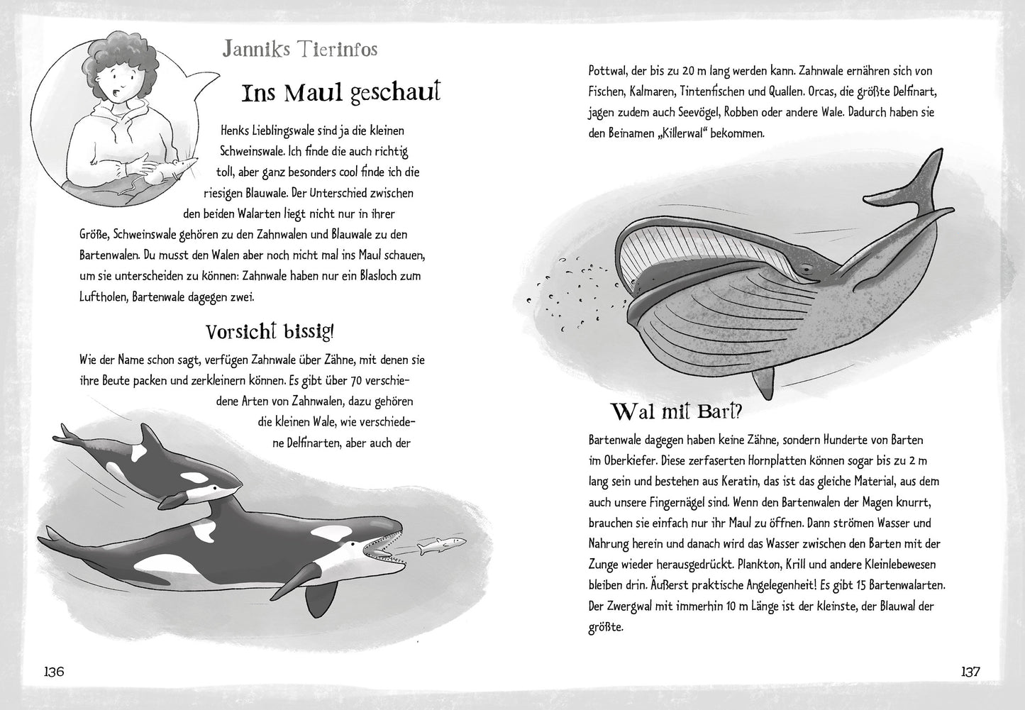 Die Grünen Piraten – Wale in Not