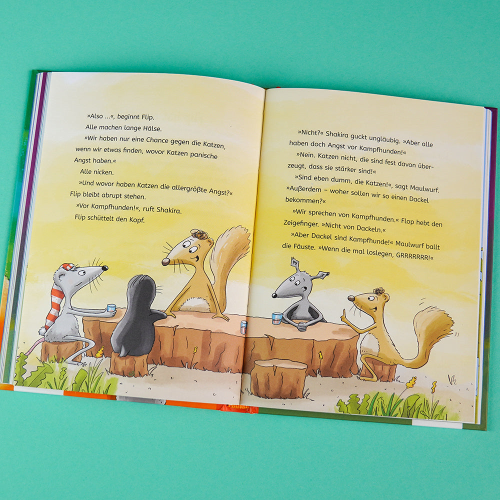 Zipfelmaus und die Glitzerkatze